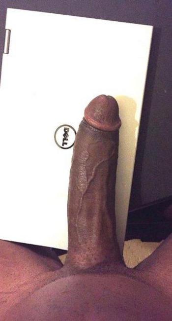3323339307, transgender escort, Hartford